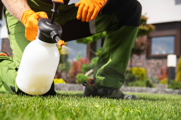 Best Termite Control Services  in Belmont, PA