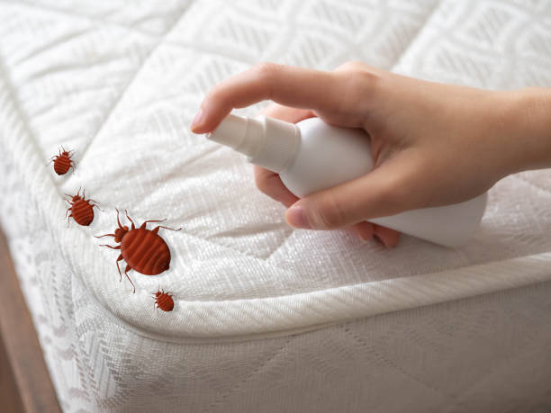 Best Flea Control Services  in Belmont, PA